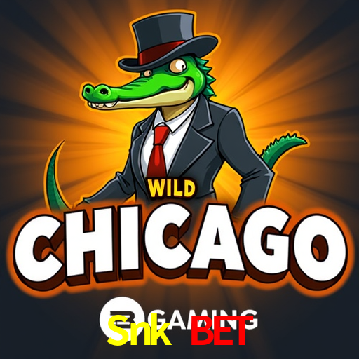 Descubra o Programa VIP da Snk Bet: Vantagens Exclusivas para Jogadores